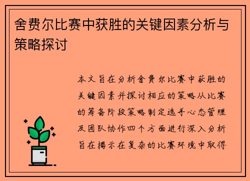 舍费尔比赛中获胜的关键因素分析与策略探讨