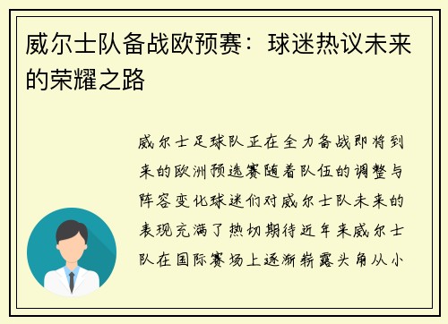 威尔士队备战欧预赛：球迷热议未来的荣耀之路